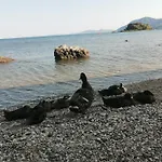Βeιιa