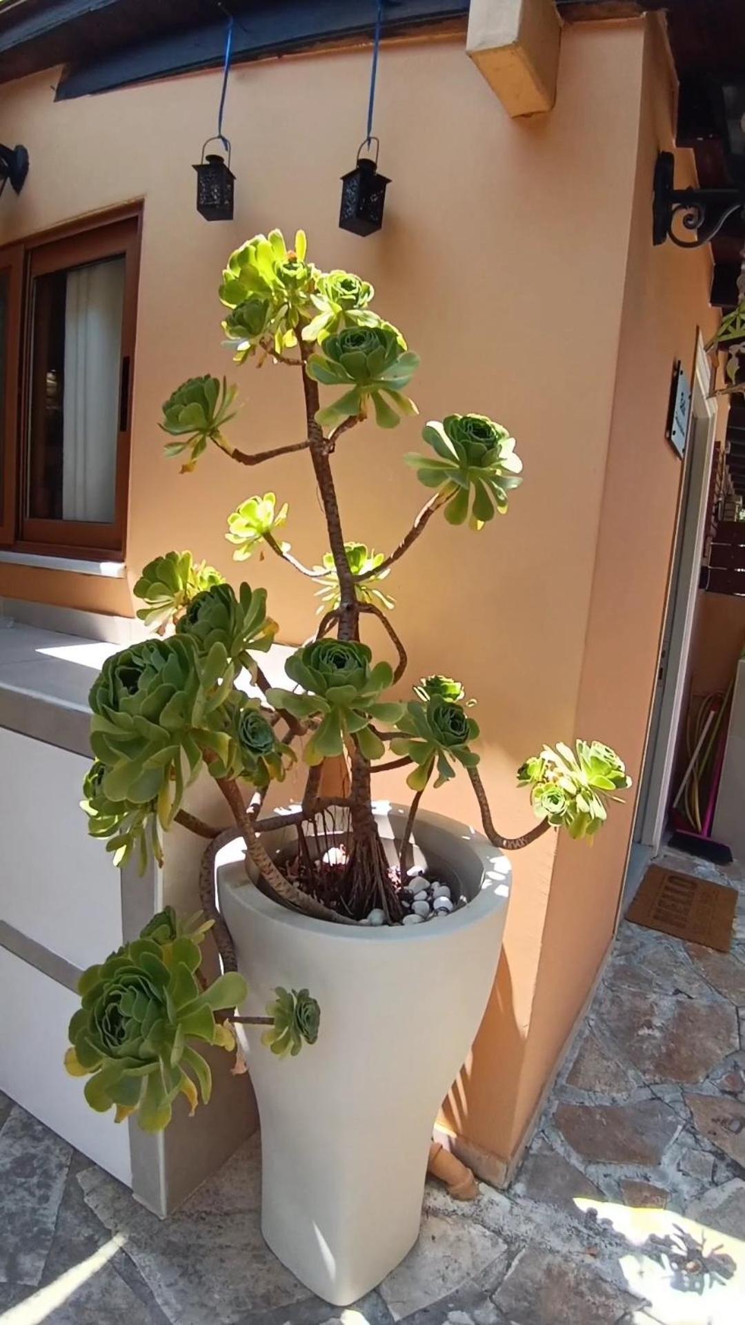 βeιιa Appartement